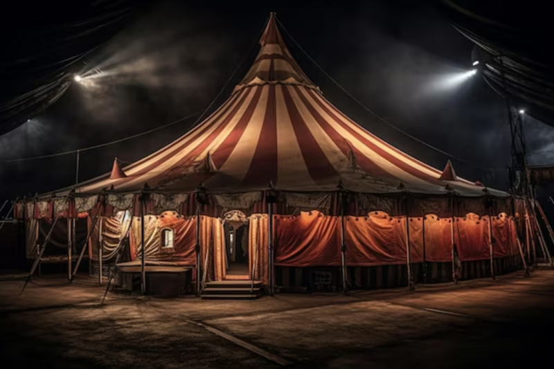 Lona de Circo Festa: Como Transformar Seu Evento em um Espetáculo Inesquecível
