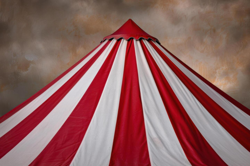 Lona do Circo: Descubra a Importância e os Tipos para Sua Festa Temática Lona do Circo: Descubra a Importância e os Tipos para Sua Festa Temática